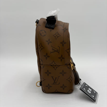 Chipped Louis Vuitton Reverse Monogram Palm Springs Backpack