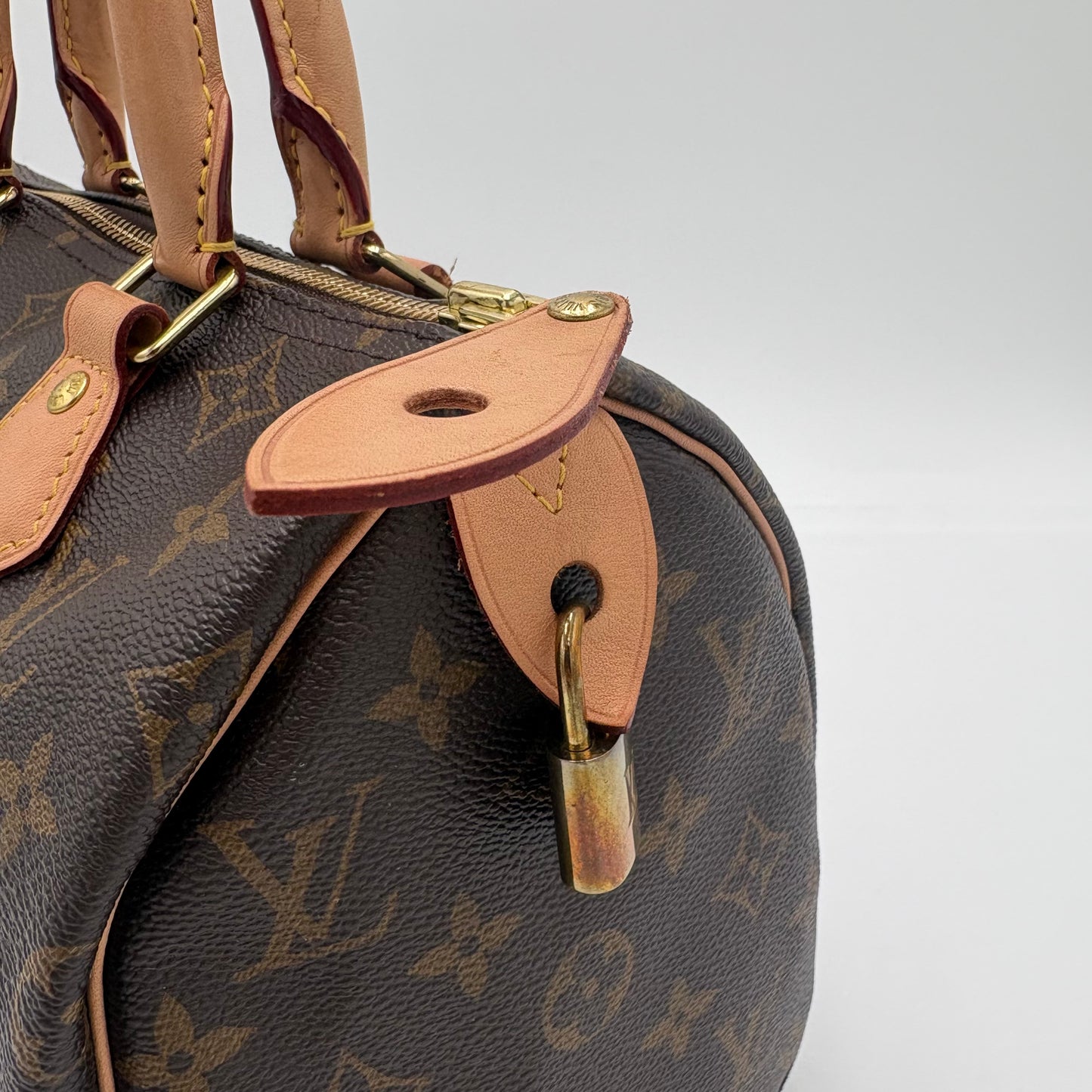 2020 Louis Vuitton Speedy 25 Monogram
