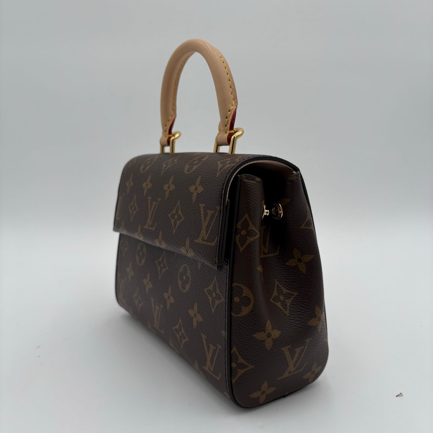 MIB Louis Vuitton Mini Cluny Bag