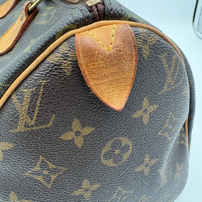 2009 Louis Vuitton Speedy Handbag