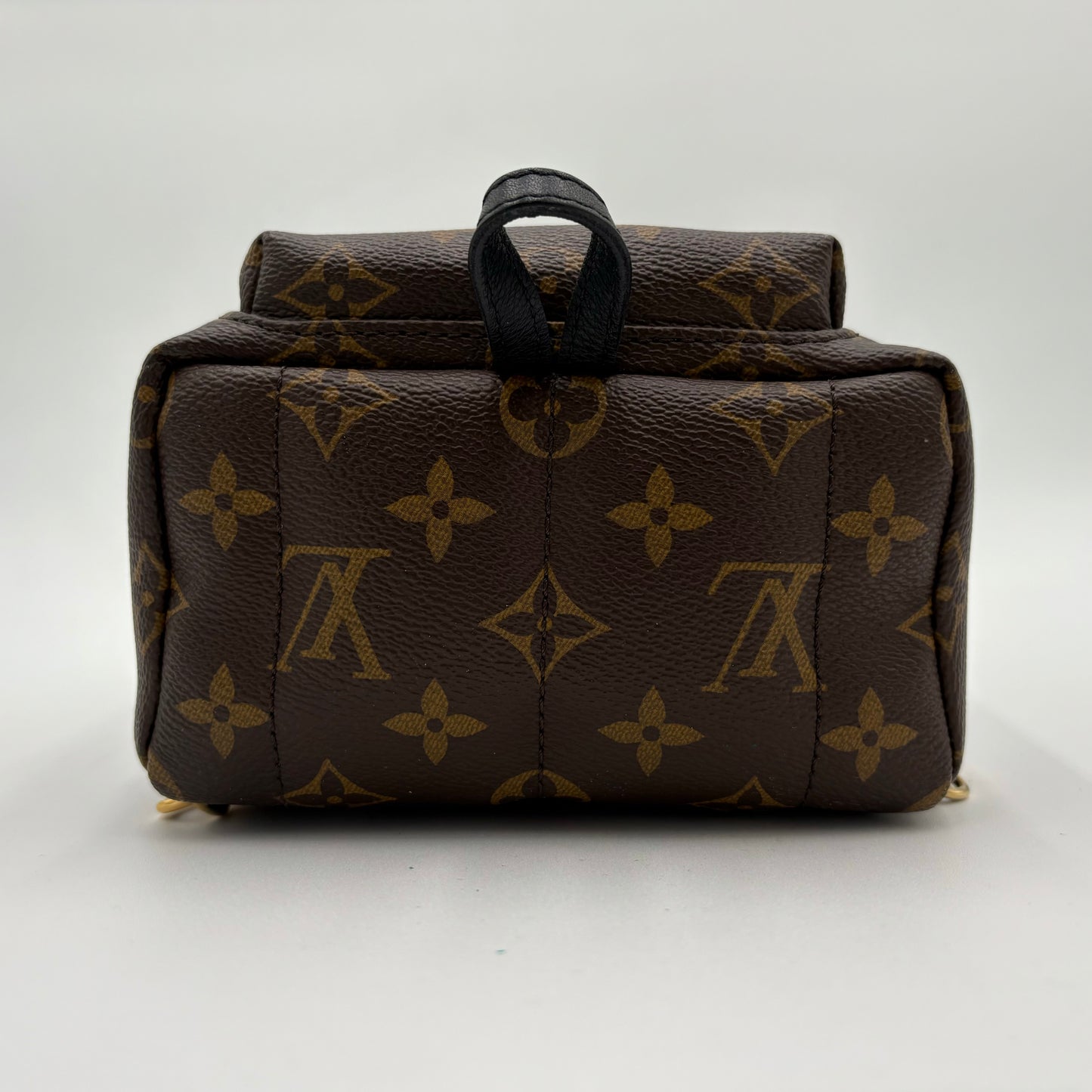 2019 Louis Vuitton Palm Springs Mini Backpack