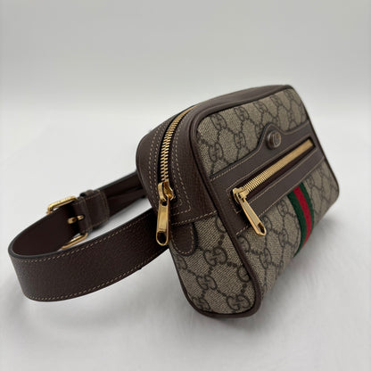 Gucci Ophidia Belt Bag 34