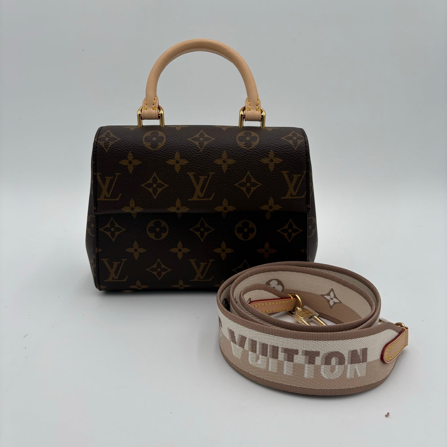 MIB Louis Vuitton Mini Cluny Bag