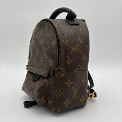2019 Louis Vuitton Palm Springs Mini Backpack
