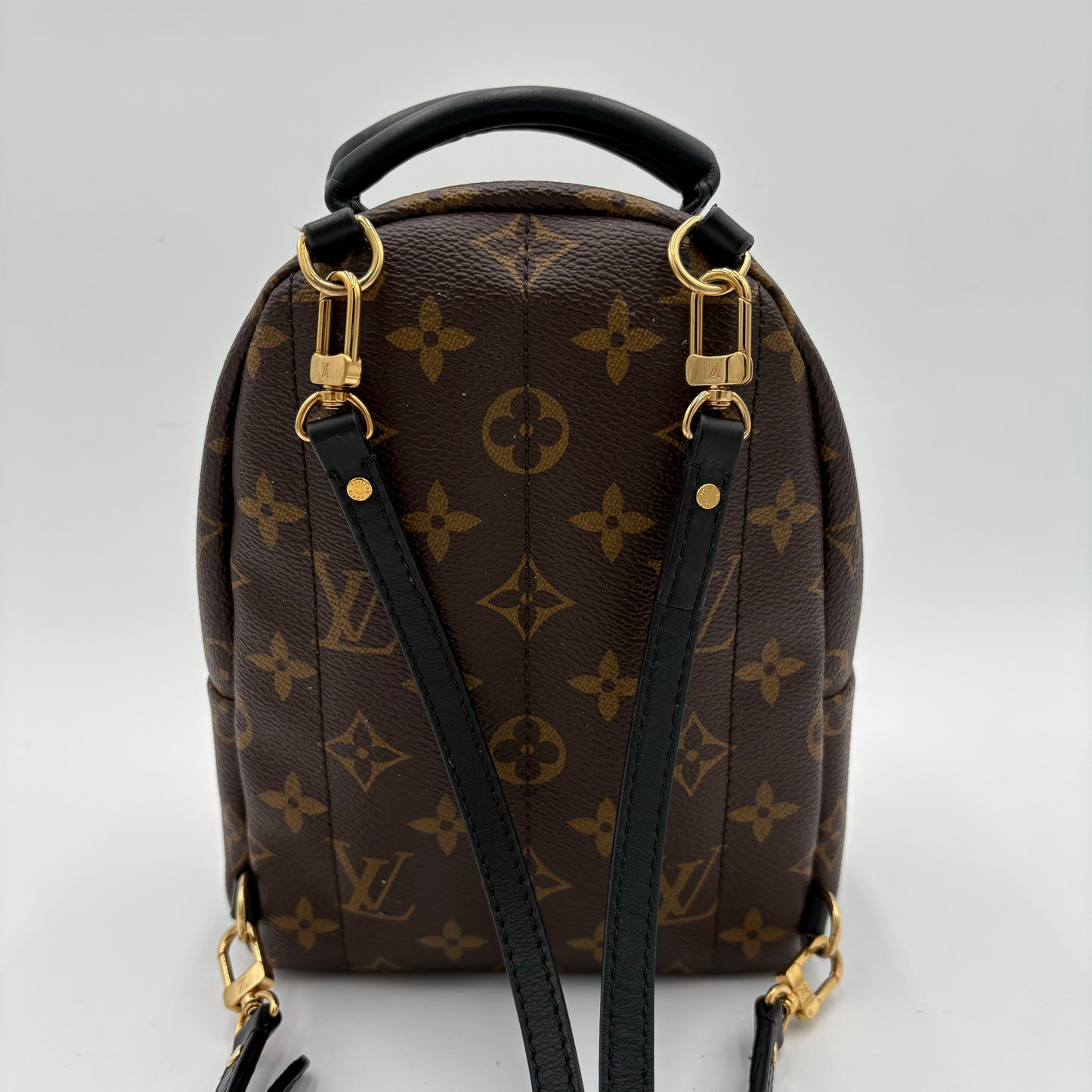 2019 Louis Vuitton Palm Springs Mini Backpack