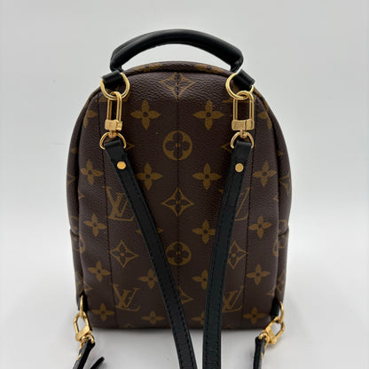 2019 Louis Vuitton Palm Springs Mini Backpack