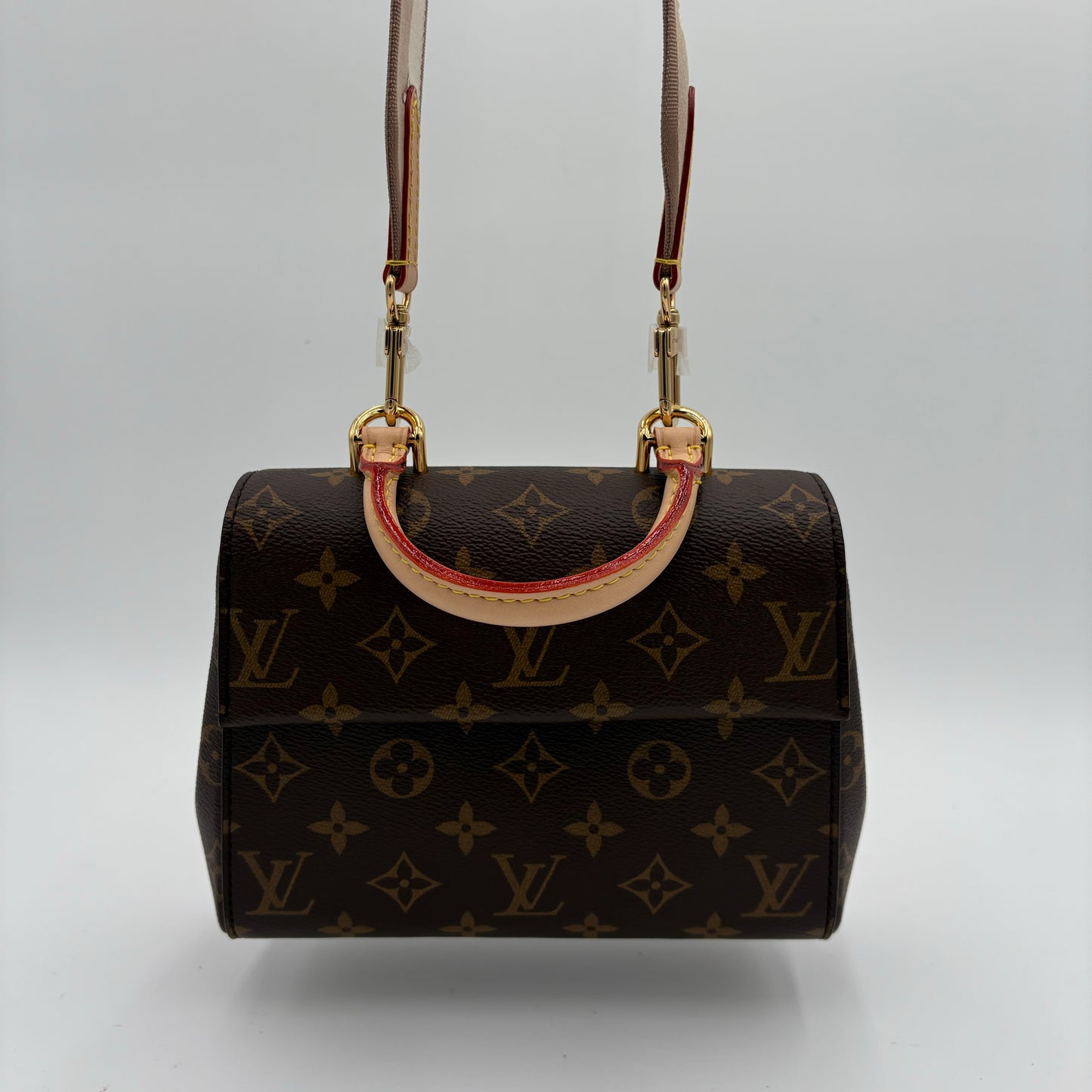 MIB Louis Vuitton Mini Cluny Bag