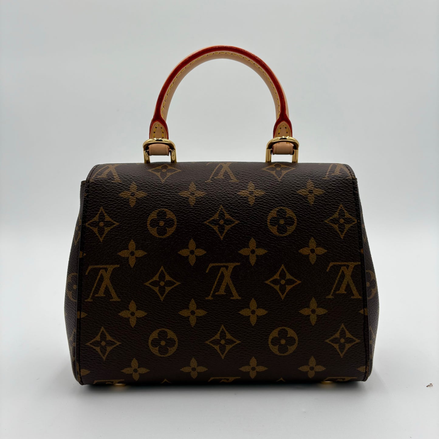 MIB Louis Vuitton Mini Cluny Bag