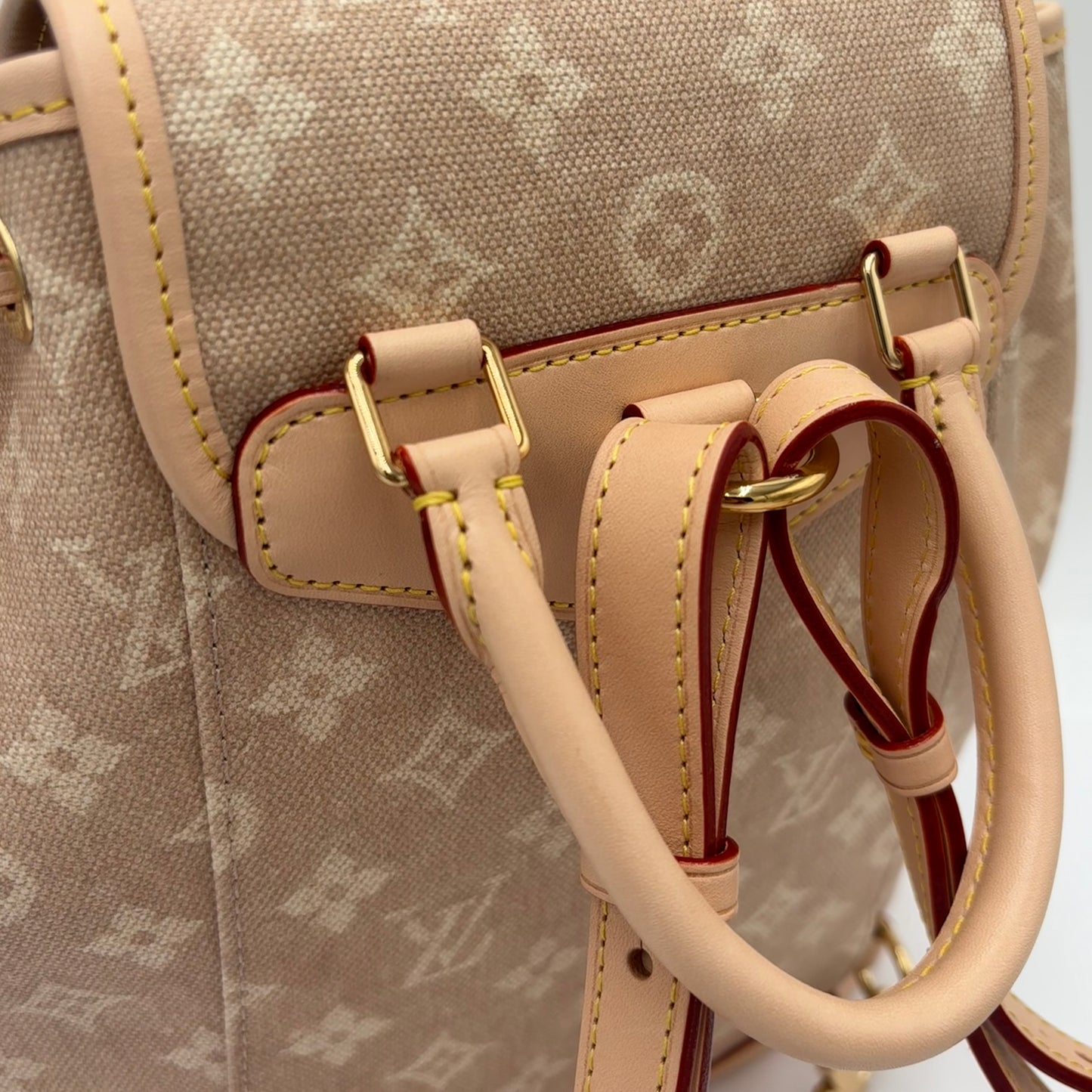 2025 Louis Vuitton Monogram Meowgram Montsouris