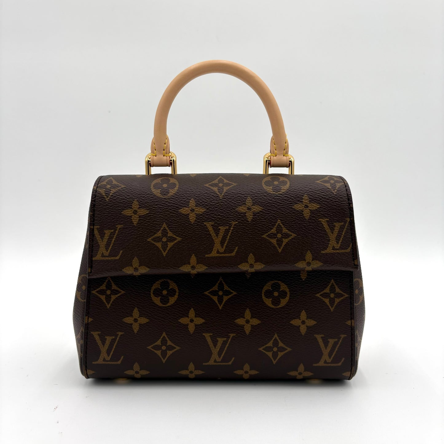 MIB Louis Vuitton Mini Cluny Bag