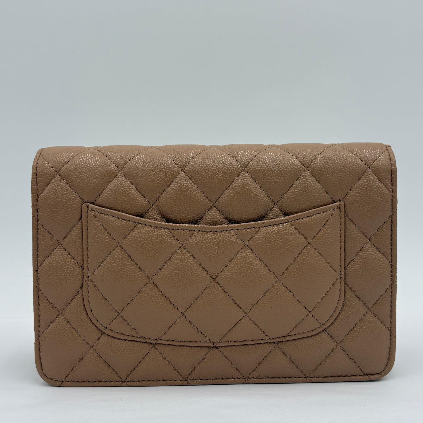 2019 Chanel WOC Wallet on Chain
