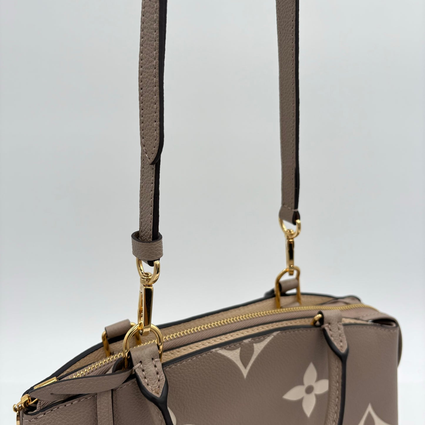 Louis Vuitton Petit Palais Giant Monogram