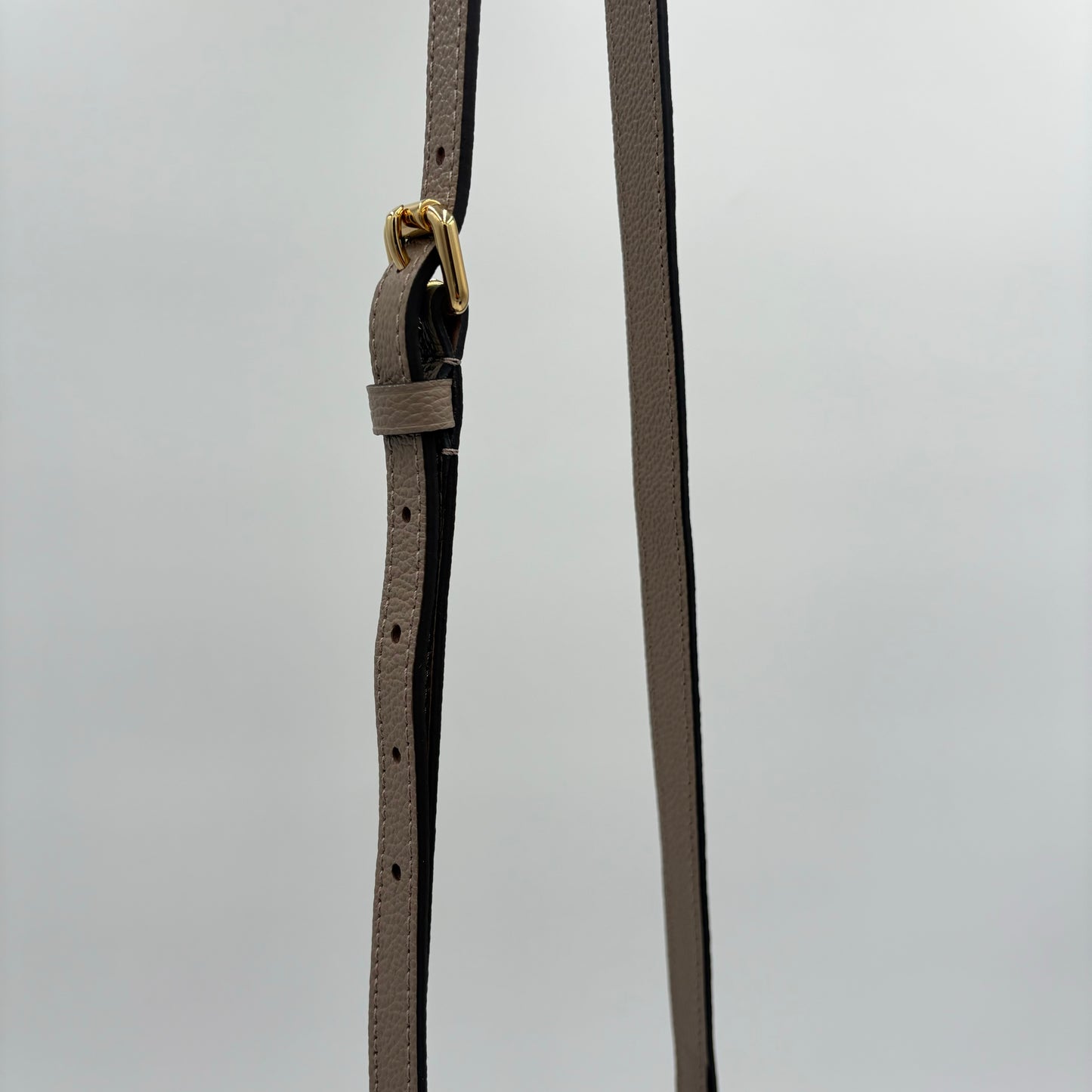 Louis Vuitton Petit Palais Giant Monogram