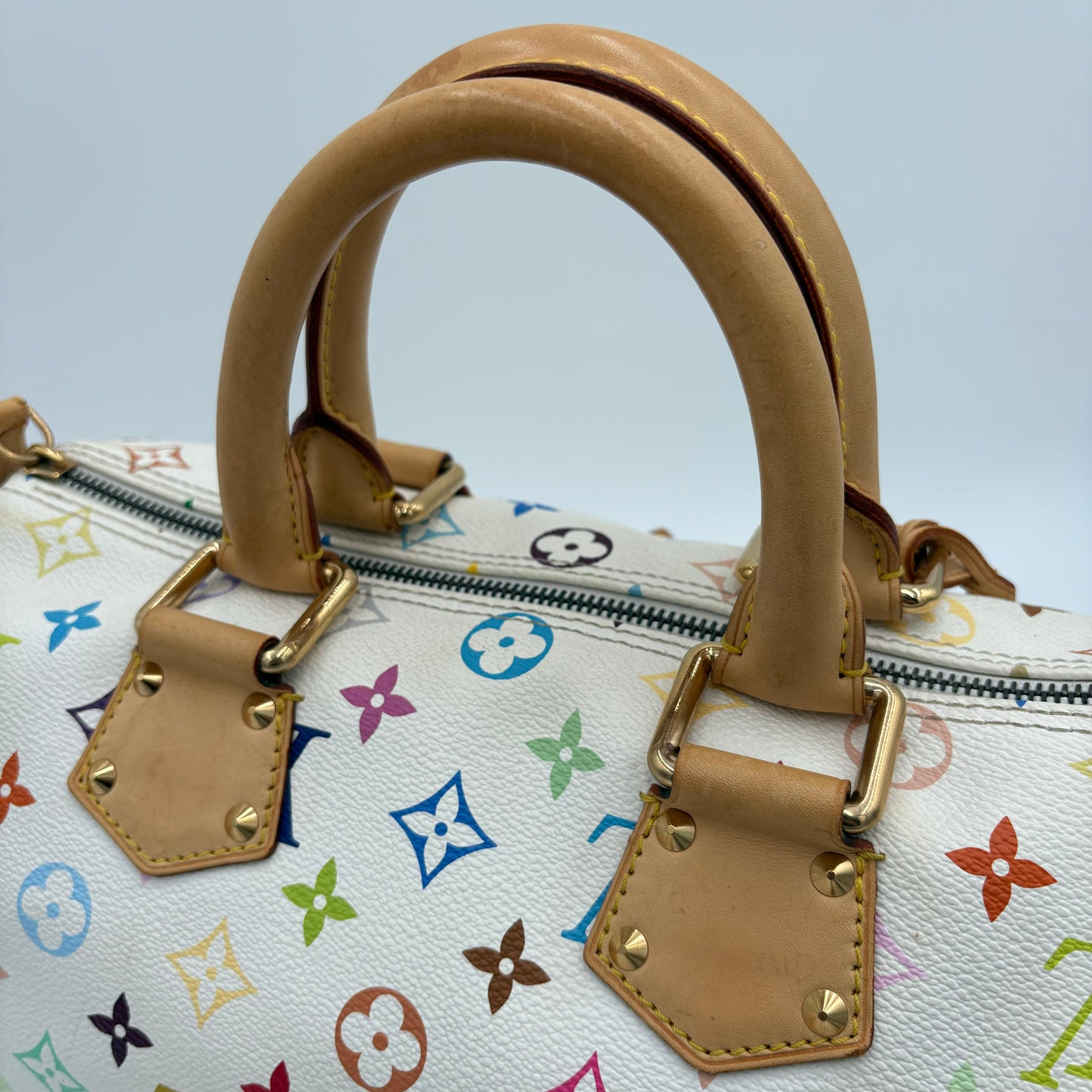 Louis Vuitton Multicolor Speedy 30