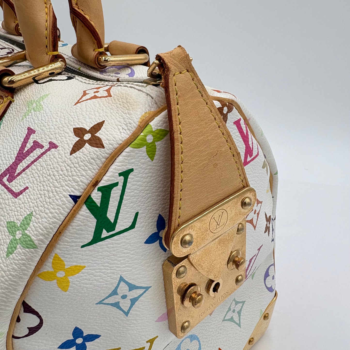 Louis Vuitton Multicolor Speedy 30