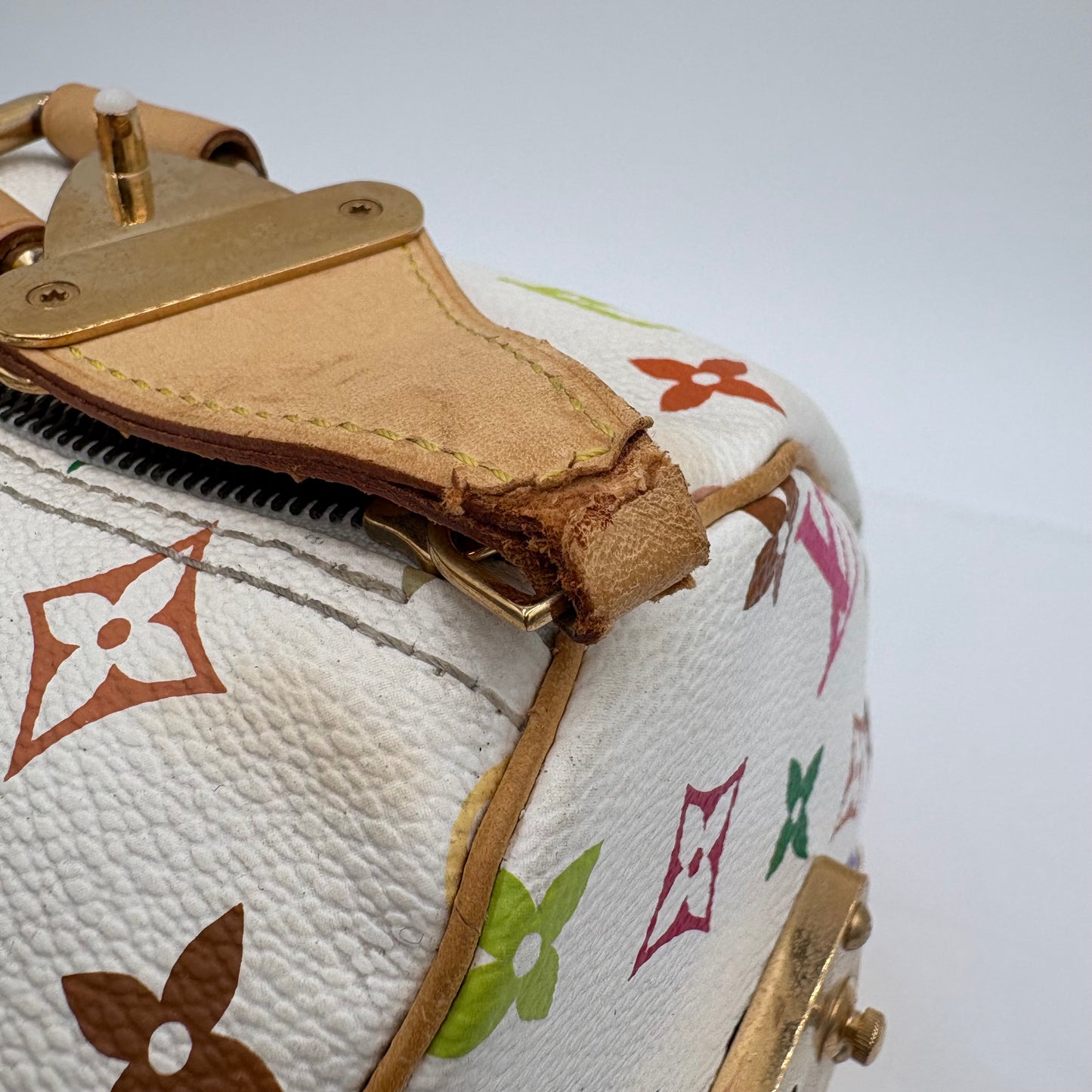 Louis Vuitton Multicolor Speedy 30