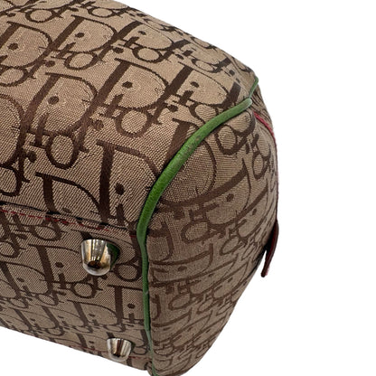 Christian Dior Bowler Rasta Bag